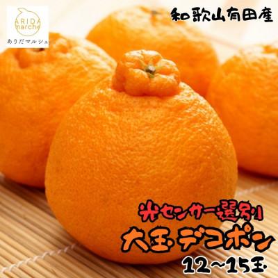 ふるさと納税 上富田町 ≪先行予約 2027年2月〜発送≫ 和歌山有田の濃厚大玉デコポン 12〜15玉(約5kg)