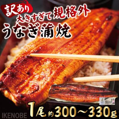ふるさと納税 常陸大宮市 [ふるさと納税]うなぎ蒲焼き1尾冷凍たれ山椒付き 中国産