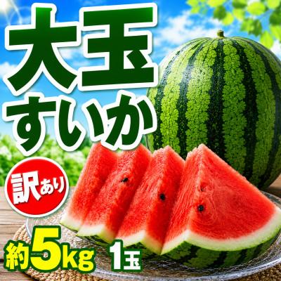 ふるさと納税 熊本市 訳あり 大玉すいか 約5kg 1玉 (熊本市)