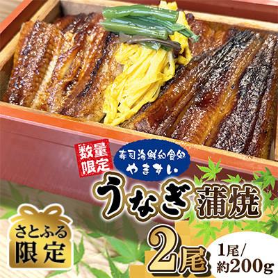 ふるさと納税 桂川町 [さとふる限定]数量限定[寿司海鮮和食処やますい]鹿児島県産うなぎ蒲焼(各約200g×2尾)