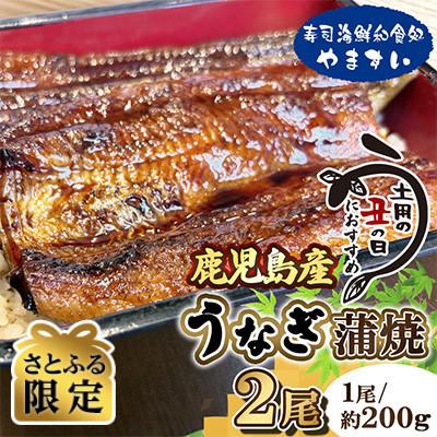 ふるさと納税 桂川町 [さとふる限定]土用の丑の日におすすめ![7月より順次発送]鹿児島産うなぎ蒲焼 約200g×2尾