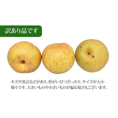 ふるさと納税 熊本市 【さとふる限定】訳あり 豊水梨 約5kg【2026年8月下旬から2026年9月下旬発送予定】_1