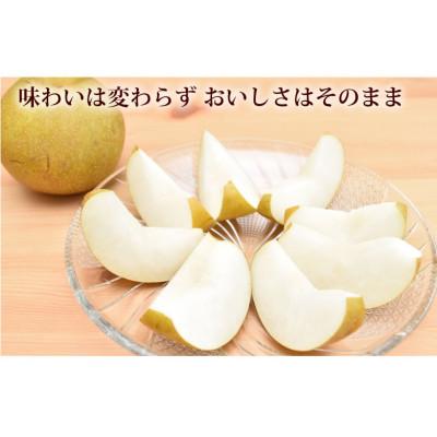 ふるさと納税 熊本市 【さとふる限定】訳あり 豊水梨 約5kg【2026年8月下旬から2026年9月下旬発送予定】_2