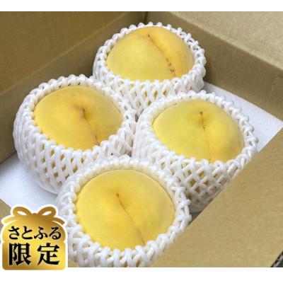 ふるさと納税 紀の川市 [さとふる限定][訳あり]旬の黄桃 紀の川市より直送 4玉