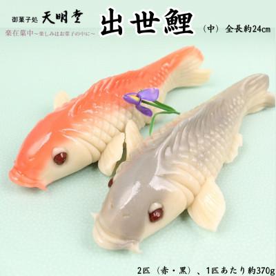 ふるさと納税 熊本市 上生菓子 出世鯉 (2匹)[中(全長約24cm)]
