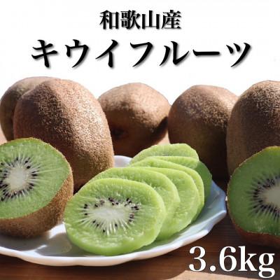 ふるさと納税 かつらぎ町 和歌山産 キウイフルーツ M〜4Lサイズ 約3.6kg 秀品[2027年1月下旬より順次発送]