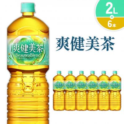 ふるさと納税 えびの市 爽健美茶 PET 2L×6本 1ケース(えびの市)