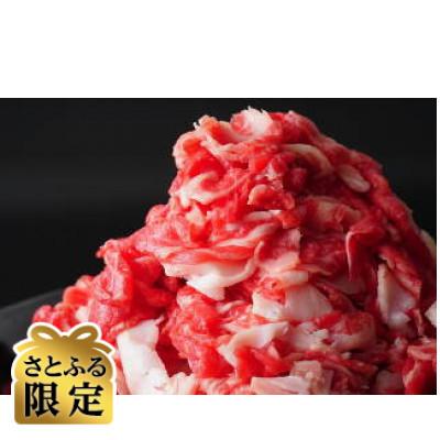 ふるさと納税 吉野ヶ里町 [さとふる限定]A4〜A5等級 黒毛和牛 切り落とし 1kg[500g×2](吉野ヶ里町)