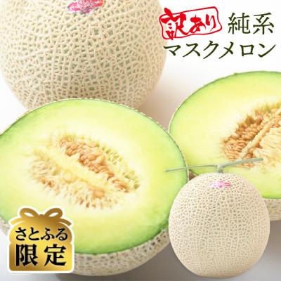 ふるさと納税 富津市 [さとふる限定][訳あり]純系マスクメロン1玉