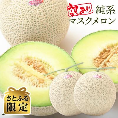 ふるさと納税 富津市 [さとふる限定][訳あり]純系マスクメロン2玉