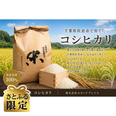 ふるさと納税 佐倉市 [さとふる限定]セカンドプレイス米コシヒカリ5kg
