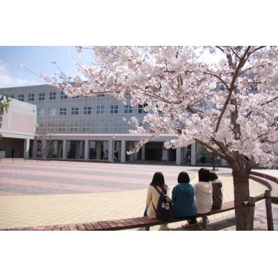 ふるさと納税 日野市 [返礼品なし]大学支援事業(実践女子大学) 3,000円