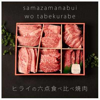 ふるさと納税 加古川市 志方牛 6点食べ比べ 焼肉 600g(100g×6種) 黒毛和牛
