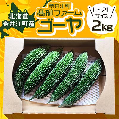 ふるさと納税 奈井江町 [先行予約][北海道奈井江町]北海道産ゴーヤ 2kg(L〜2L)