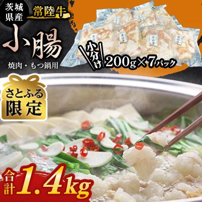 ふるさと納税 牛久市 [さとふる限定][常陸牛]焼肉・もつ鍋用 小腸 1.4kg(200g×7パック) 茨城県産