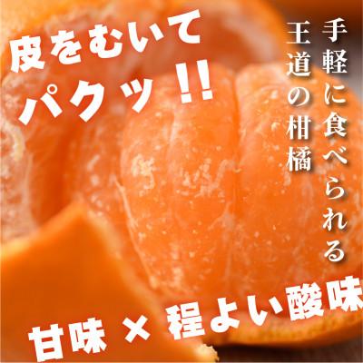 ふるさと納税 上島町 [先行予約]温州みかん4kg L〜S JA選果品