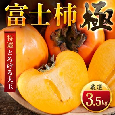 ふるさと納税 八幡浜市 [年内発送!]肉厚濃蜜 富士柿 3.5kg 愛媛県産[C49-104]