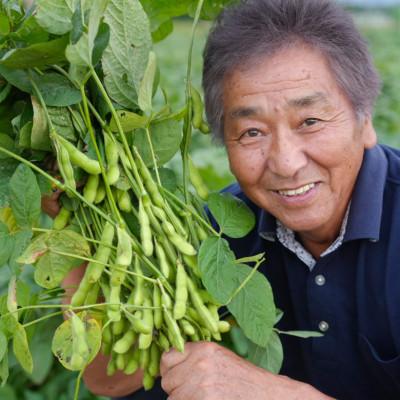 ふるさと納税 伊勢原市 【先行予約】枝豆 1.4kg (350g×4袋) 農家直送