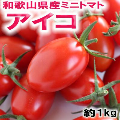ふるさと納税 新宮市 [2027年1月出荷]和歌山県産ミニトマト「アイコトマト」約1kg(M・Lサイズおまかせ)新宮市