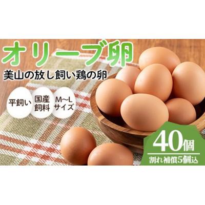 ふるさと納税 日置市 鹿児島県産美山オリーブ卵(40個)