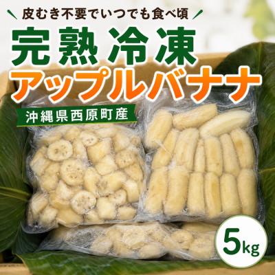 ふるさと納税 西原町 [皮むき不要]いつでも食べ頃!完熟冷凍アップルバナナ5kg