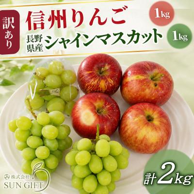 ふるさと納税 塩尻市 長野県産★秀品シャインマスカット2房+粒&amp;訳あり信州りんごのセット 計2kg