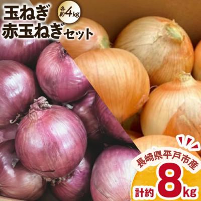 ふるさと納税 平戸市 [産地直送!]赤・白玉ねぎ セット 各約4kg 計約8kg