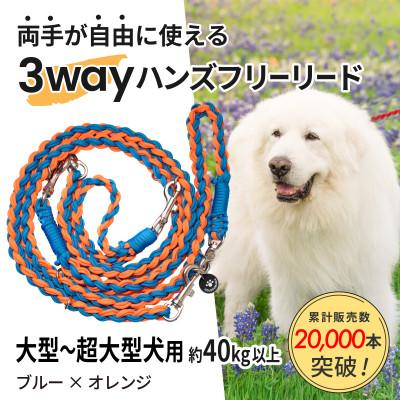 ふるさと納税 掛川市 [犬用]3WAYハンズフリーリード(大型〜超大型犬用)ブルー×オレンジ[ゴールデンママ]