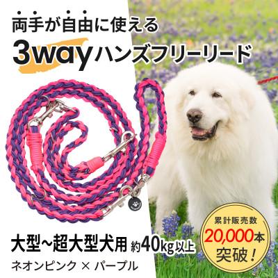 ふるさと納税 掛川市 [犬用]3WAYハンズフリーリード(大型〜超大型犬用)ネオンピンク×パープル[ゴールデンママ]