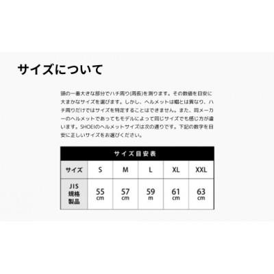 ふるさと納税 一関市 EX-ZERO AVENTURE TC-10 BLACK/GREYつや消し S フィッティング受け入れる券付