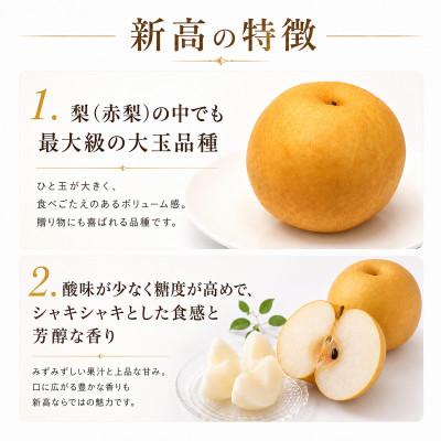 ふるさと納税 かすみがうら市 新高 梨 5kg 8〜12玉 予約受付 梨 なし 甘い かすみがうら市_1