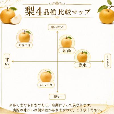 ふるさと納税 かすみがうら市 新高 梨 5kg 8〜12玉 予約受付 梨 なし 甘い かすみがうら市_2