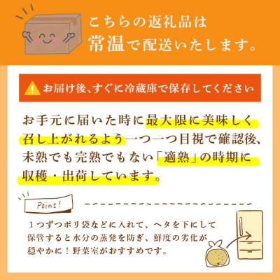 ふるさと納税 かすみがうら市 新高 梨 5kg 8〜12玉 予約受付 梨 なし 甘い かすみがうら市_3