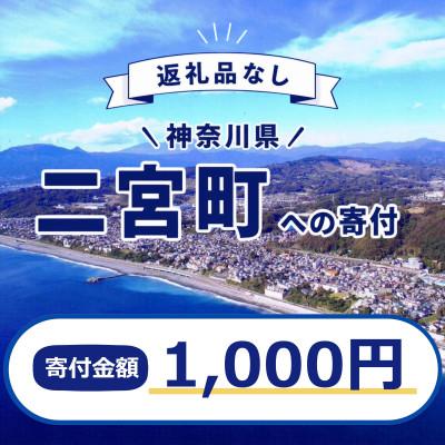 ふるさと納税 二宮町 [返礼品なし]神奈川県二宮町への応援寄付金(1口 1,000円)