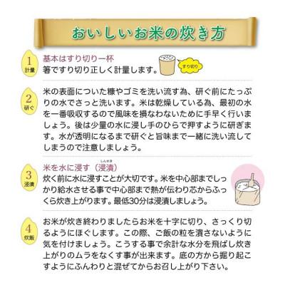 ふるさと納税 真室川町 令和8年産米先行受付　真室川町産 コシヒカリ【白米】15kg(5kg×3袋)◆YR8K15M-H_1