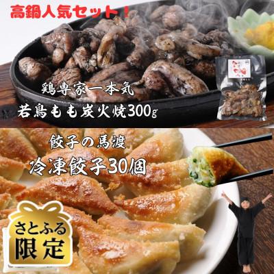 ふるさと納税 高鍋町 [さとふる限定][人気コラボ!]馬渡 餃子 30個+一本気 若鶏もも炭火焼 300g