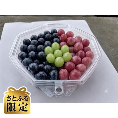 ふるさと納税 有田川町 [さとふる限定]大粒ぶどう粒詰合せ 1kg