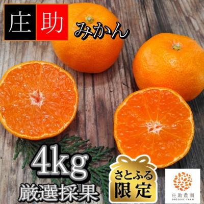 ふるさと納税 湯浅町 [さとふる限定]先行受付2026年10月末より順次発送]有田・庄助みかん4kg[厳選採果]