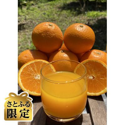 ふるさと納税 八幡浜市 [さとふる限定]太陽と海のみかんジュース2種飲み比べ 12本セット[73-9]
