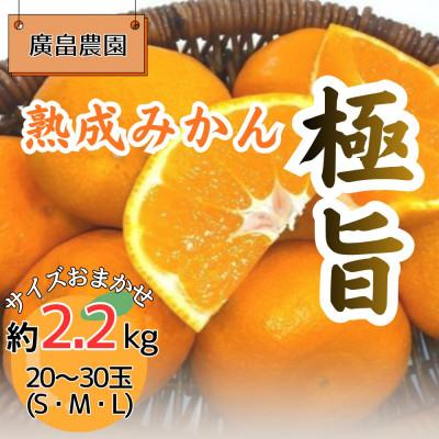 ふるさと納税 佐那河内村 熟成みかん『極旨』 ※2027年2月初旬頃から発送