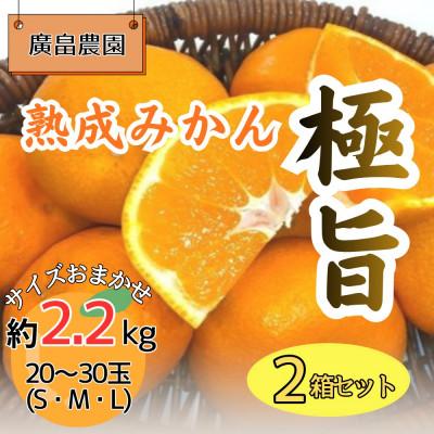 ふるさと納税 佐那河内村 2箱セット 熟成みかん『極旨』 ※2027年2月初旬頃から発送