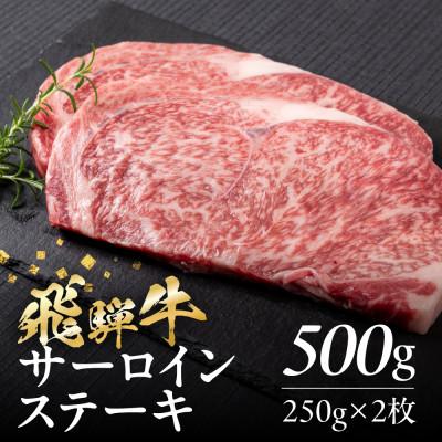 ふるさと納税 白川村 黒毛和牛 飛騨牛サーロインステーキ 250g×2