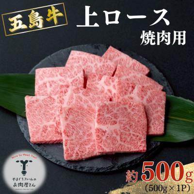 ふるさと納税 五島市 五島牛 上ロース焼肉用 約500g [山口Farm]