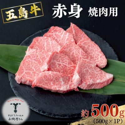 ふるさと納税 五島市 五島牛 赤身焼肉用 約500g [山口Farm]