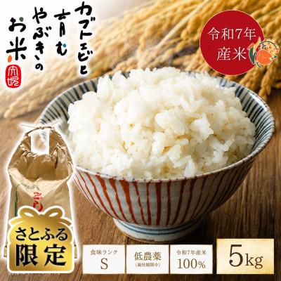 ふるさと納税 矢吹町 [さとふる限定]令和7年産米 カブトエビと育む、栽培期間中低農薬やぶきのコシヒカリ 5kg