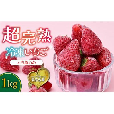 ふるさと納税 茂木町 栃木県茂木町産 冷凍いちご ＼鮮度そのまま/完熟とちあいか 500g×2