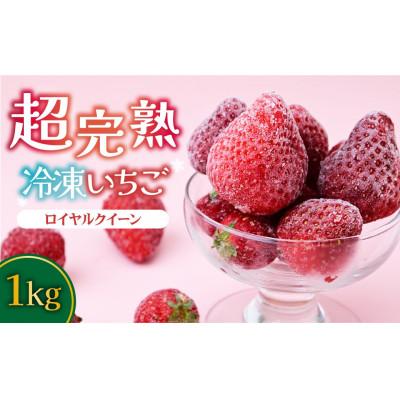 ふるさと納税 茂木町 栃木県茂木町産 冷凍いちご ＼鮮度そのまま・幻のいちご/完熟ロイヤルクイーン 500g×2