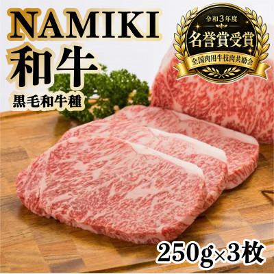 ふるさと納税 十和田市 NAMIKI和牛ステーキカット 計750g 青森県十和田市産