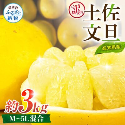 ふるさと納税 芸西村 [訳あり]土佐文旦 家庭用 (M〜5L混合サイズ) 約3kg 大玉入り