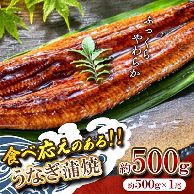ふるさと納税 広川町 ふっくら肉厚うなぎ蒲焼 約500g×1尾